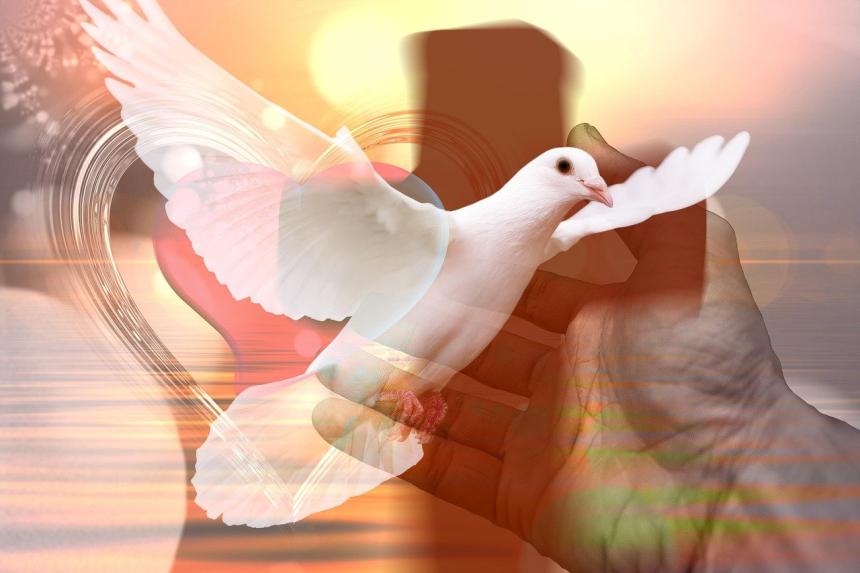 img_698a49fccad97.jpg img_698a49fccad97.jpg