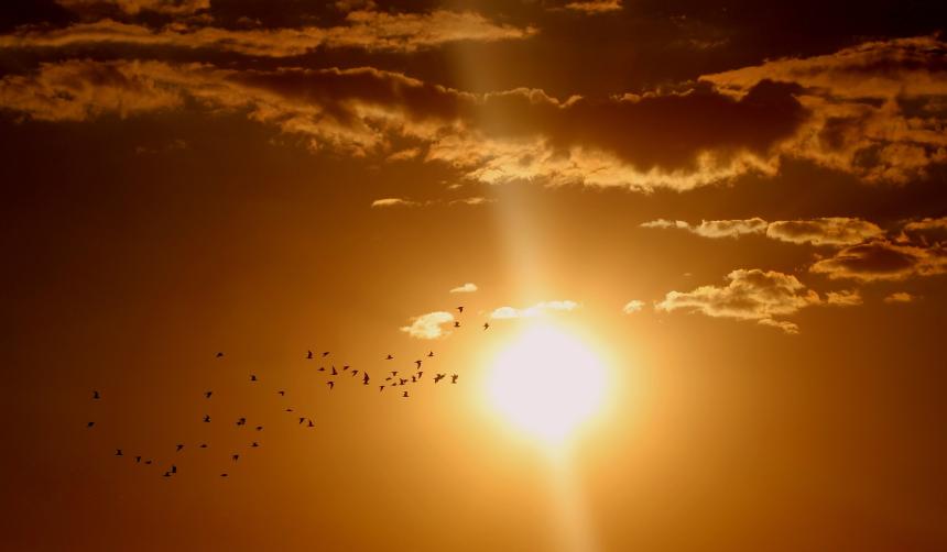 https://www.apg29.nu/bild/solnedgang-2163.jpg - Se han kommer!
